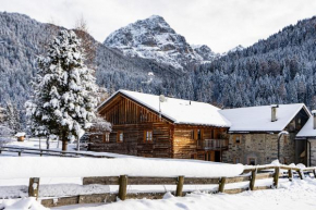 Nido del Brenta Madonna Di Campiglio